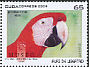 Scarlet Macaw Ara macao  2009 MUSEO 
