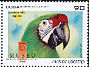 Military Macaw Ara militaris