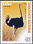 Common Ostrich Struthio camelus  2009 National zoo 6v set