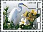 Great Egret Ardea alba