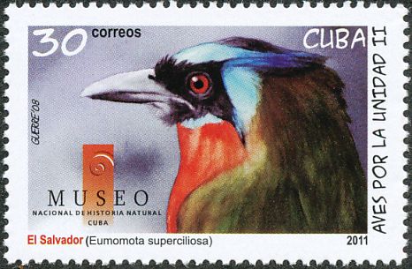 http://www.birdtheme.org/showimages/cuba/i/cub201105l.jpg