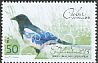 Eurasian Magpie Pica pica