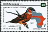 Cut-throat Finch Amadina fasciata  2015 Songbirds 