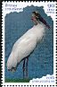 Wood Stork Mycteria americana  2016 Waterbirds 