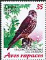 Merlin Falco columbarius  2017 Birds of prey 