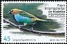 Gilt-edged Tanager Tangara cyanoventris  2017 Brasiliana 2017 