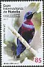 Banded Cotinga Cotinga maculata  2017 Brasiliana 2017 