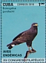 Cuban Black Hawk Buteogallus gundlachii  2018 Endemic birds  MS
