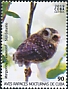 Bare-legged Owl Margarobyas lawrencii