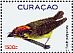 Golden-crowned Spadebill Platyrinchus coronatus  2010 Birds  MS