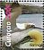 Northern Gannet Morus bassanus  2012 Sea birds Sheet