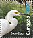 Snowy Egret Egretta thula  2012 Sea birds Sheet