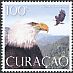 Bald Eagle Haliaeetus leucocephalus  2014 Birds of prey 