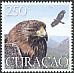 Golden Eagle Aquila chrysaetos  2014 Birds of prey 