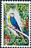 Blue-and-yellow Macaw Ara ararauna  2020 South American birds 
