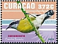Curacao 2023 Birds 