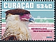 Curacao 2023 Birds 