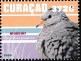 Common Ground Dove Columbina passerina