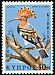 Eurasian Hoopoe Upupa epops  1969 Birds of Cyprus 
