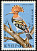 Eurasian Hoopoe Upupa epops