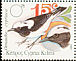 Cyprus Wheatear Oenanthe cypriaca  1991 Pied Wheatear 