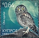 Cyprus Scops Owl Otus cyprius