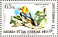 Eurasian Golden Oriole Oriolus oriolus