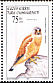 Common Kestrel Falco tinnunculus  1997 Birds of prey 