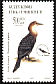 Finsch's Wheatear Oenanthe finschii  2003 Birds 