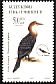 Pygmy Cormorant Microcarbo pygmaeus  2003 Birds 