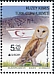 Western Barn Owl Tyto alba  2019 Europa 