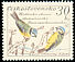 Eurasian Blue Tit Cyanistes caeruleus  1959 Birds 