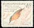 Eurasian Nuthatch Sitta europaea  1959 Birds 