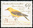 Eurasian Golden Oriole Oriolus oriolus  1959 Birds 