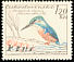 Common Kingfisher Alcedo atthis  1959 Birds 
