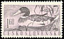 Mallard Anas platyrhynchos  1960 Water birds 
