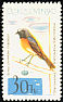 Common Redstart Phoenicurus phoenicurus  1964 Birds 