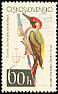 European Green Woodpecker Picus viridis  1964 Birds 
