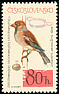 Hawfinch Coccothraustes coccothraustes  1964 Birds 