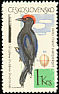 Black Woodpecker Dryocopus martius  1964 Birds 