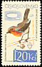 European Robin Erithacus rubecula  1964 Birds 