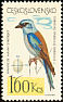 European Roller Coracias garrulus  1964 Birds 