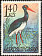 Black Stork Ciconia nigra  1967 Water birds 