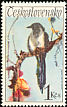 Eurasian Magpie Pica pica  1972 Songbirds 