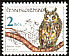 Long-eared Owl Asio otus  1986 Owls 