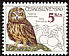 Short-eared Owl Asio flammeus  1986 Owls 