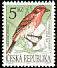Common Rosefinch Carpodacus erythrinus  1994 Birds 