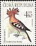 Eurasian Hoopoe Upupa epops