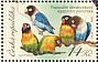 Yellow-collared Lovebird Agapornis personatus  2004 Parrots Sheet