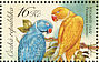 Rose-ringed Parakeet Psittacula krameri  2004 Parrots Sheet